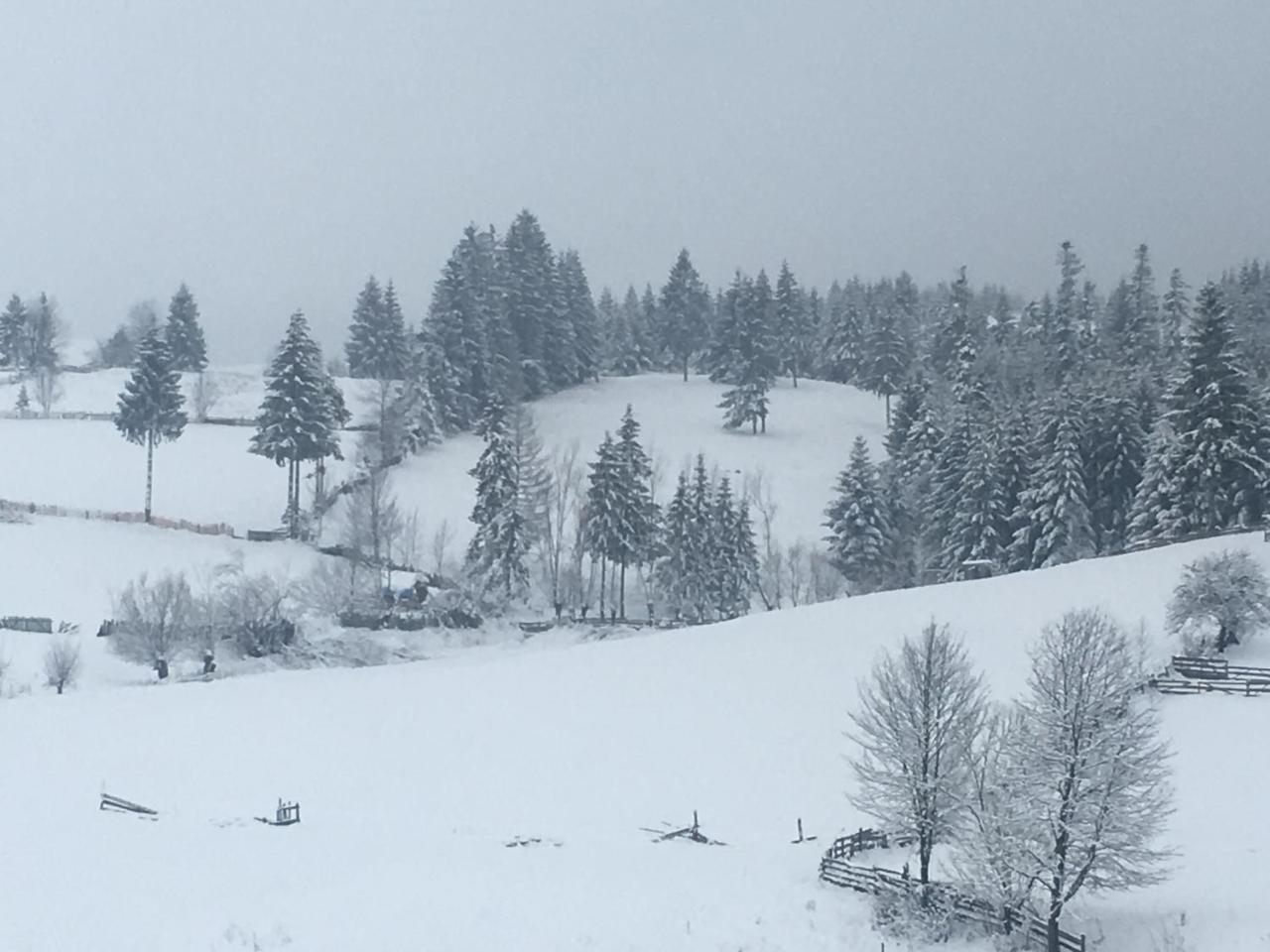 Pension Valentina Mînăstirea Humorului Exterior foto