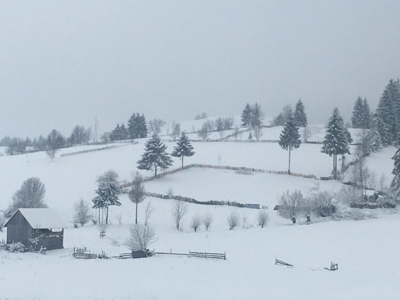 Pension Valentina Mînăstirea Humorului Exterior foto