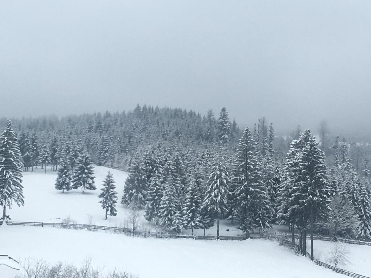 Pension Valentina Mînăstirea Humorului Exterior foto