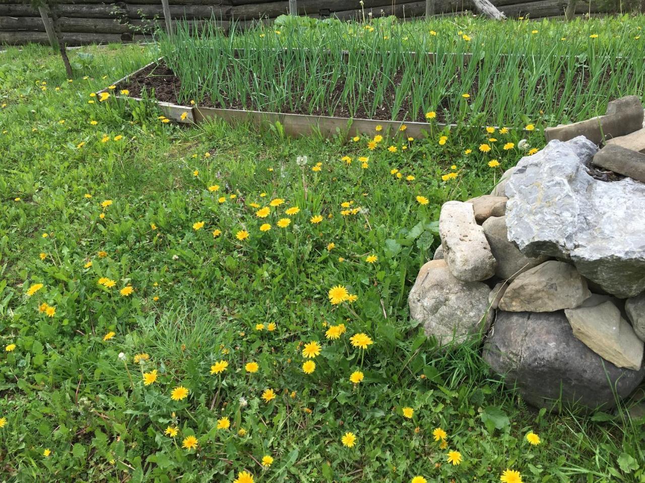 Pension Valentina Mînăstirea Humorului Exterior foto