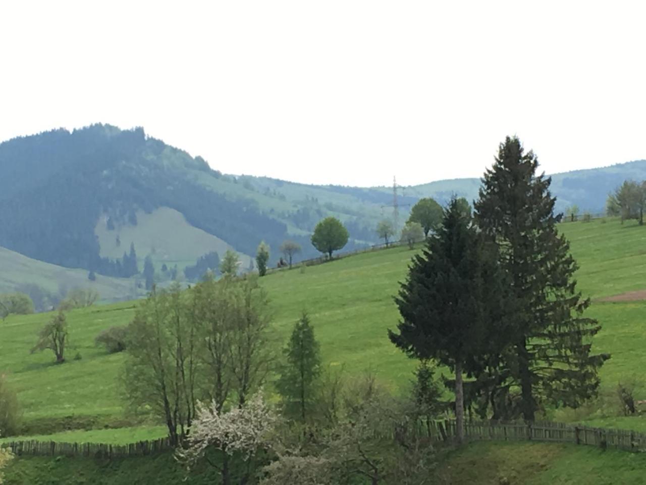 Pension Valentina Mînăstirea Humorului Exterior foto