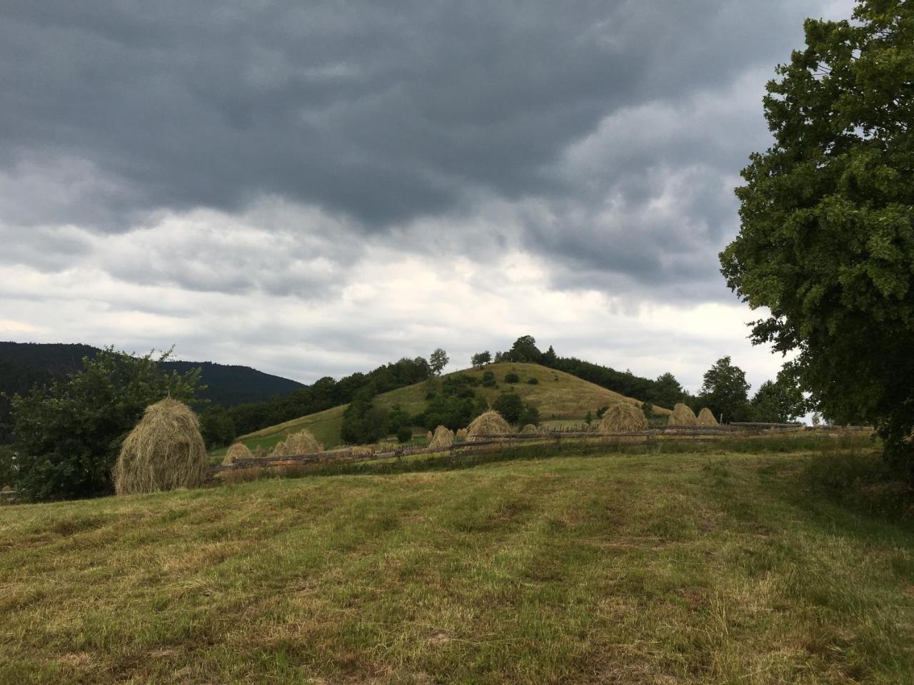 Pension Valentina Mînăstirea Humorului Exterior foto