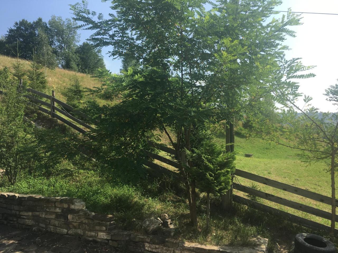 Pension Valentina Mînăstirea Humorului Exterior foto