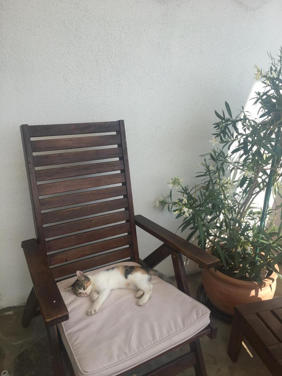 Pension Valentina Mînăstirea Humorului Exterior foto